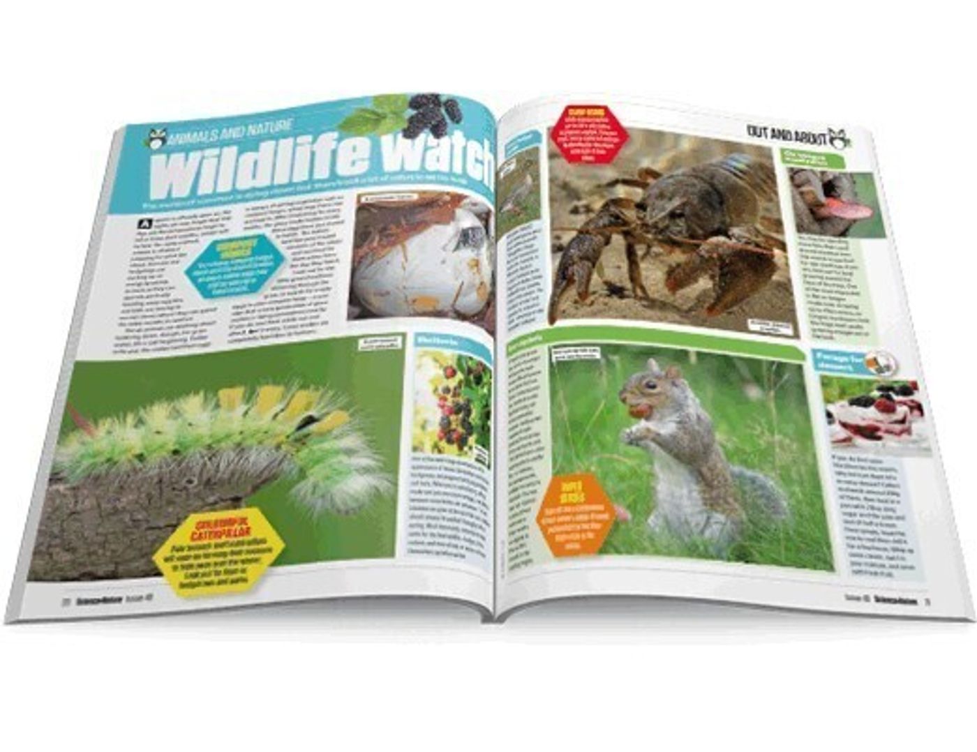 Magazines Direct | Science & Nature Magazine Subscription