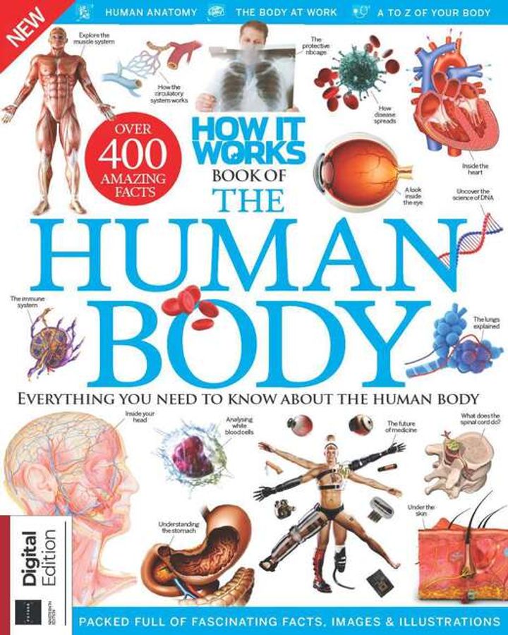 Magazines Direct | Book of the Human Body (19th Edition)