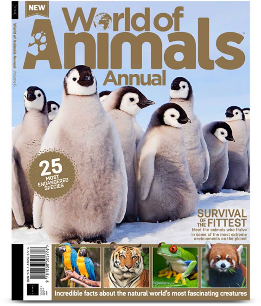 Magazines Direct | World of Animals Annual Volume 6