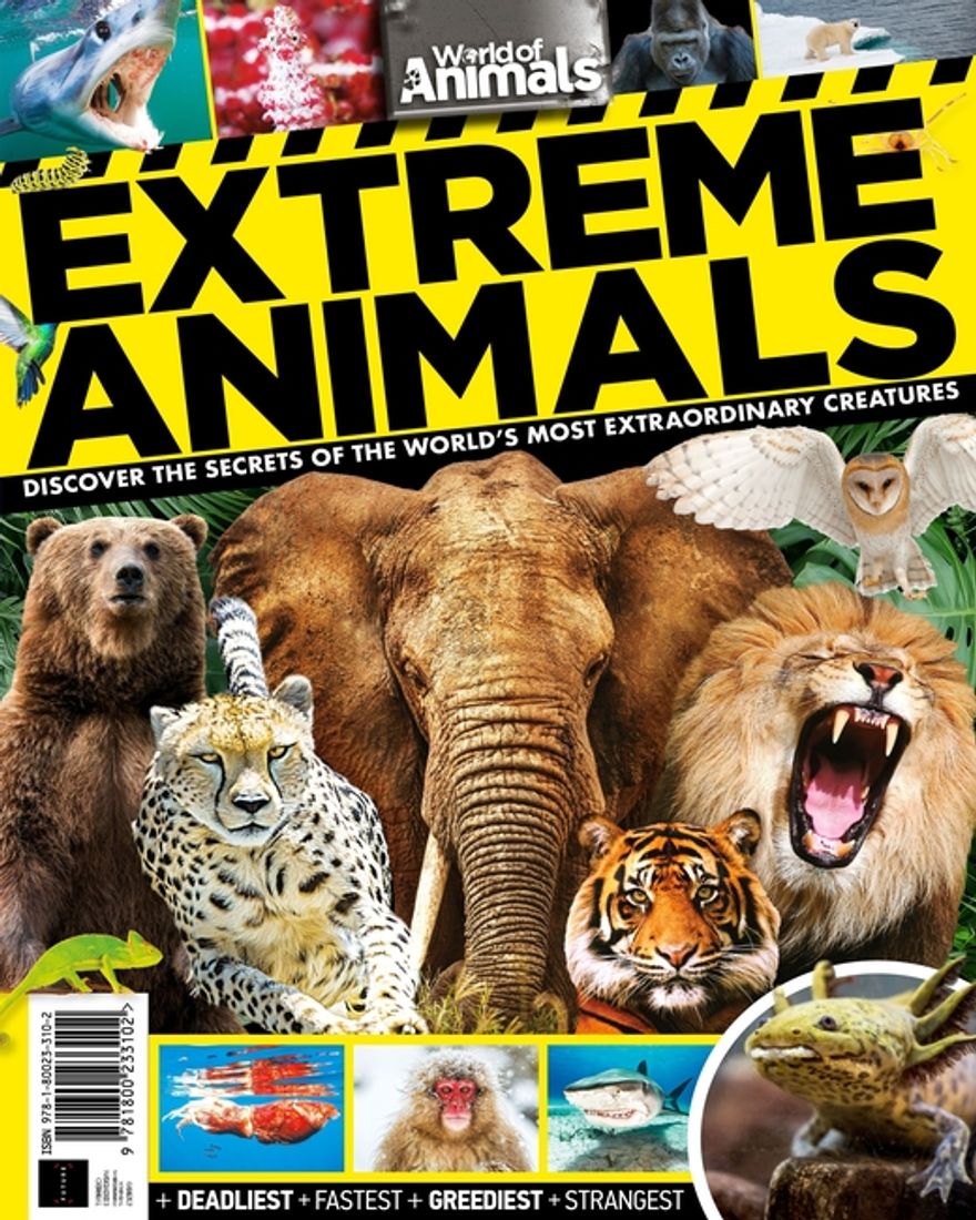 Random Animal Magazine Magazines Direct | World of Animals Extreme Animals (3rd Edition)