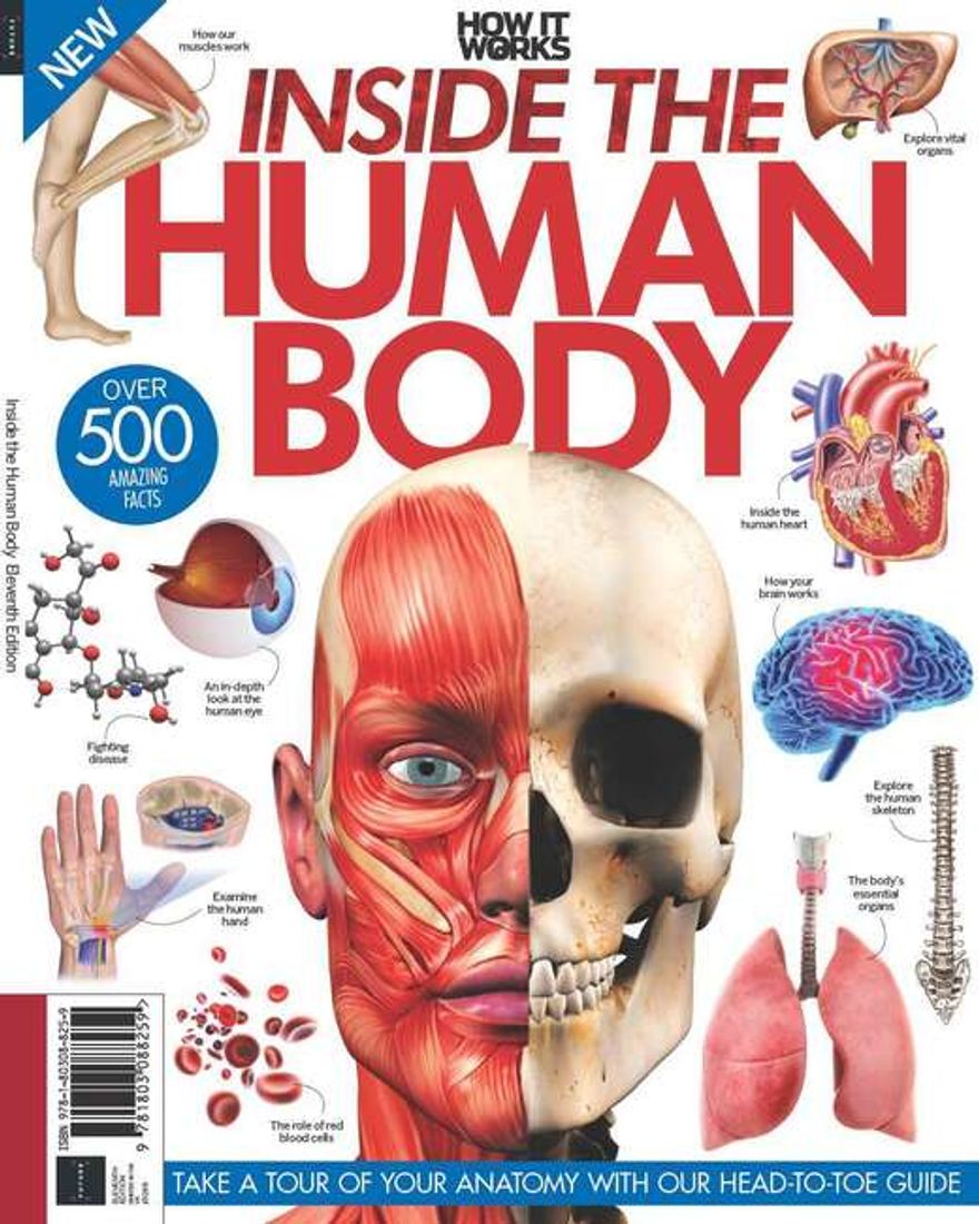 Magazines Direct | Inside The Human Body