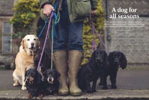 OUR FOUR-LEGGED FAMILY