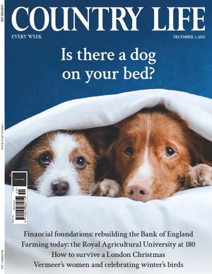 Country Life Cover