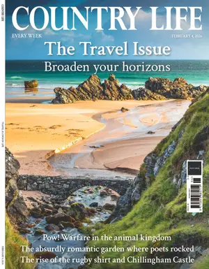 Country Life