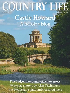 Country Life 19/11/2025 Cover