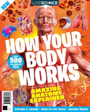 How Your Body Works (3rd Edition) Cover