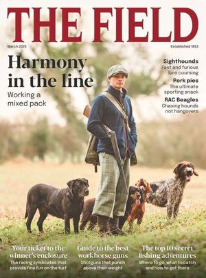 The Field March 2025 Issue 307 Cover