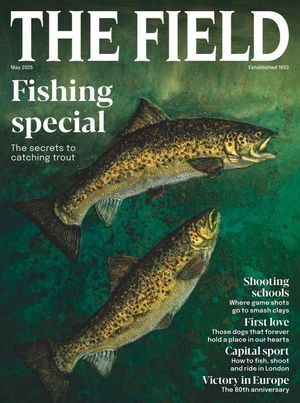 The Field May 2025 Issue 309 Cover