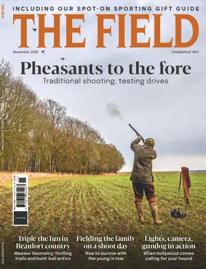 The Field