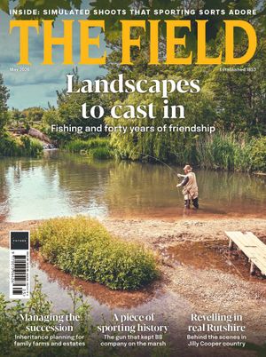 The Field Cover