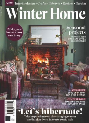 Winter Home Cover