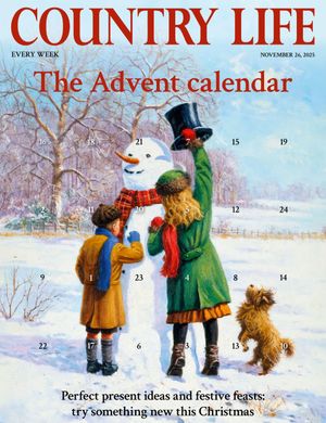 Country Life 26/11/2025 Cover
