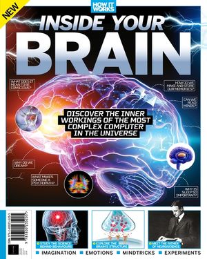Inside Your Brain (2nd Edition) Cover