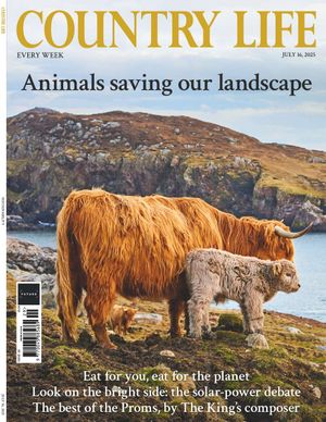 Country Life 16/07/2025 Cover