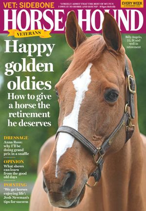 Horse & Hound 06-Nov-25 Cover
