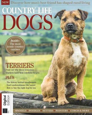 Country Life Dogs Cover