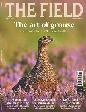The Field Cover