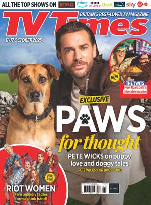 movie netflix netflix tv for dogs