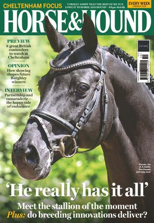 Horse & Hound Cover