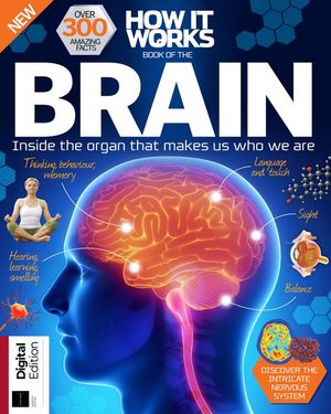Book of the Brain Cover