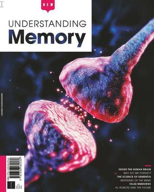 Understanding Memory Cover