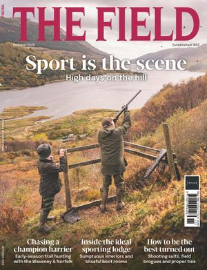 The Field Oct-25 Cover