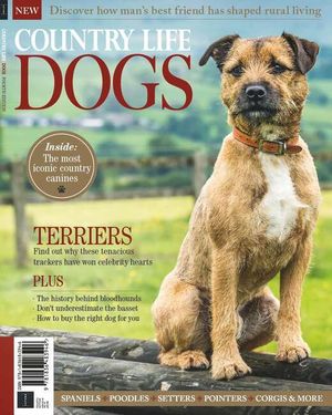 Country Life: Dogs  Cover