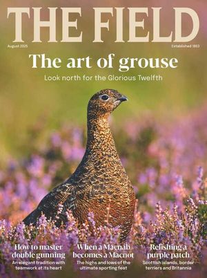 The Field August 2025 Issue 312 Cover