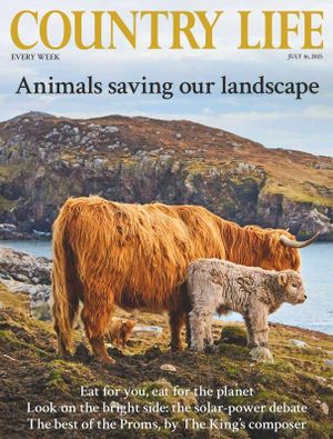 Country Life July 16th 2025 Cover