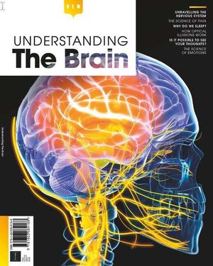 Understanding The Brain Cover