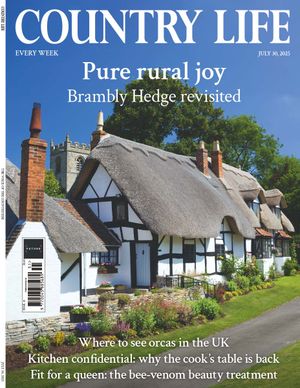 Country Life Cover