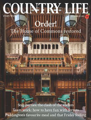 Country Life 29/10/2025 Cover