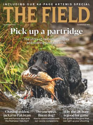The Field 313 Premium Cover