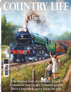 Country Life 24/12/2025 Cover