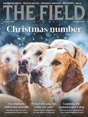 The Field Dec-25 Cover