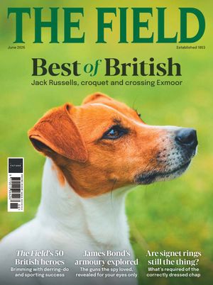 The Field Cover