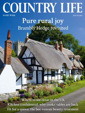 Country Life 30/07/2025 Cover