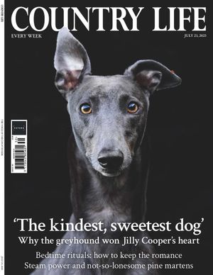 Country Life 23/07/2025 Cover