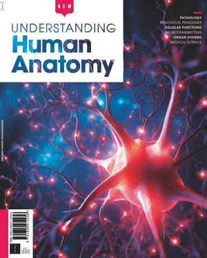 Understanding The Human Anatomy Cover