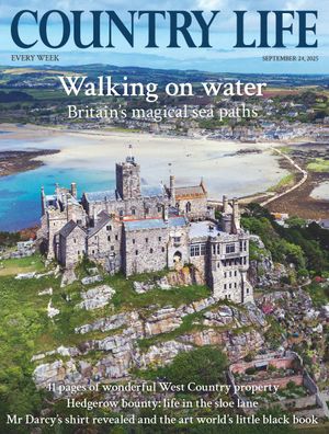 Country Life 528 Premium Cover