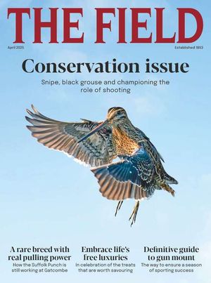 The Field April 2025 Issue 308 Cover