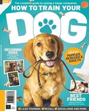 How To Train Your Dog Cover