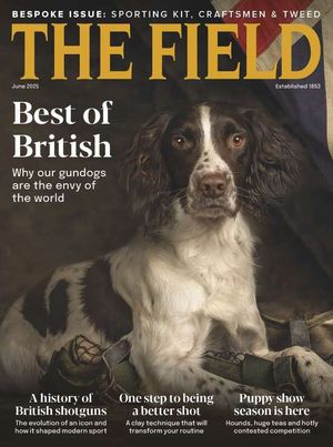 The Field June 2025 Issue 310 Cover