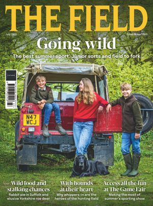 The Field Cover