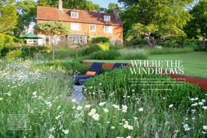 Ideas for creating a dream garden