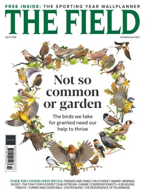The Field Cover