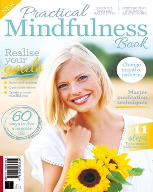 Practical Mindfulness (6th Edition) Cover