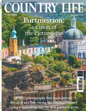 Country Life 07/01/2026 Cover