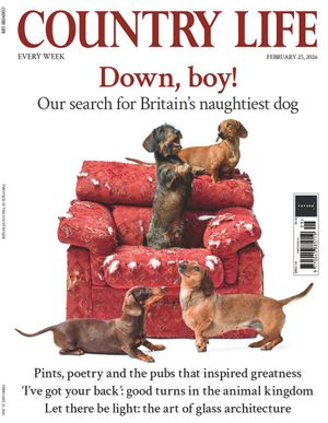 Country Life 25/02/2026 Cover